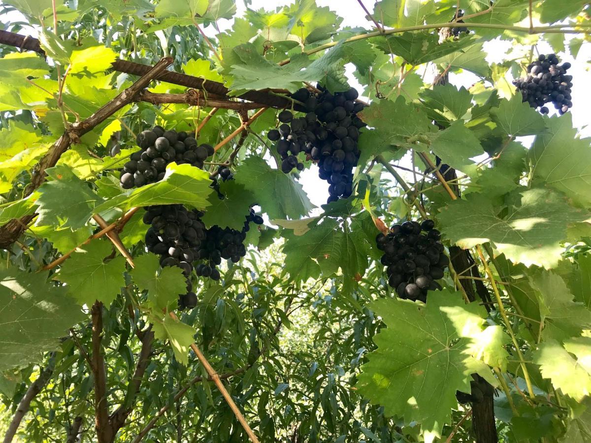 Ekas Rosengarten Gori Kültér fotó