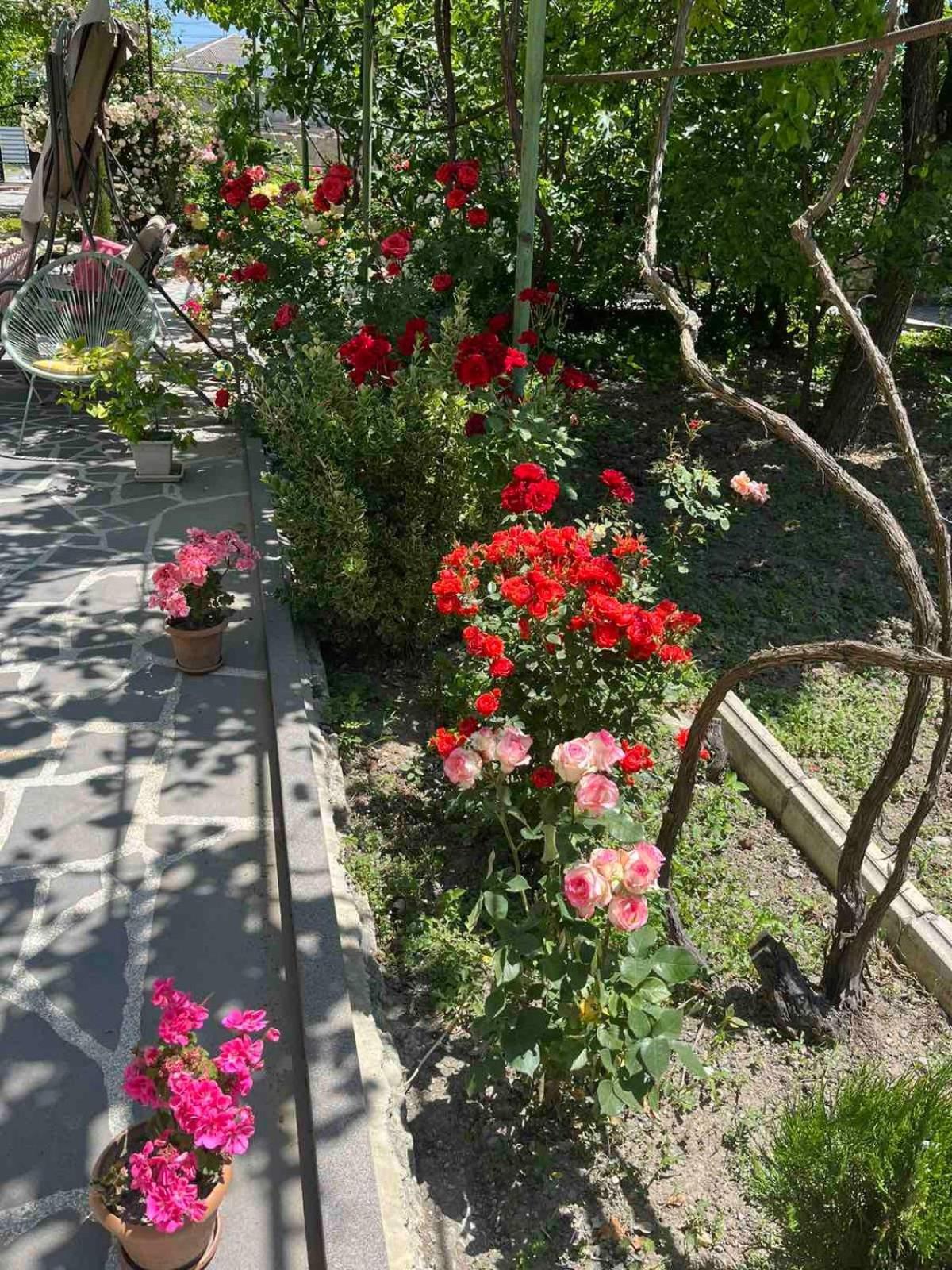 Ekas Rosengarten Gori Kültér fotó